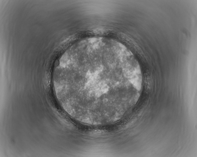 X0000110930593200907301625