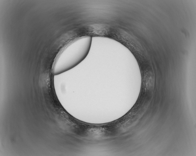 X0000110930595200907301625