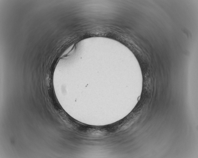 X0000110930597200907301625