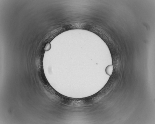 X0000110930599200907301625