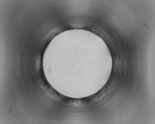 X0000110930600200907301625