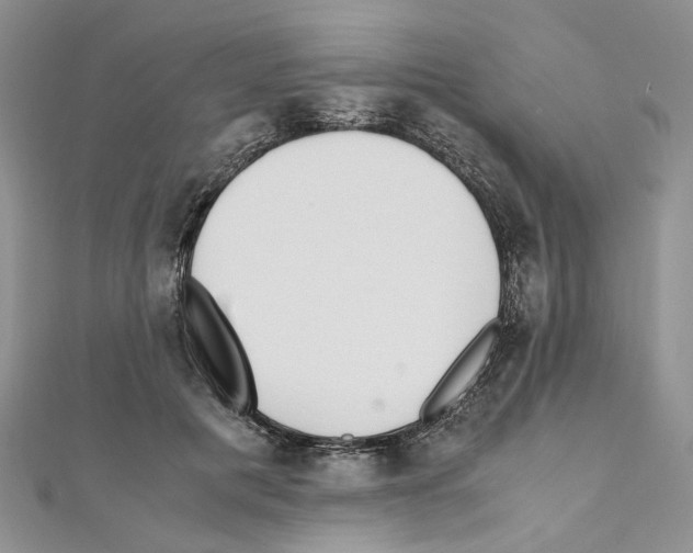 X0000110930601200907301625