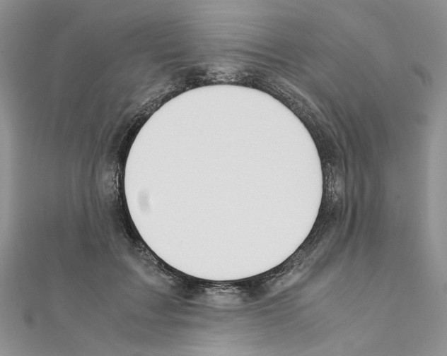 X0000110930603200907301625