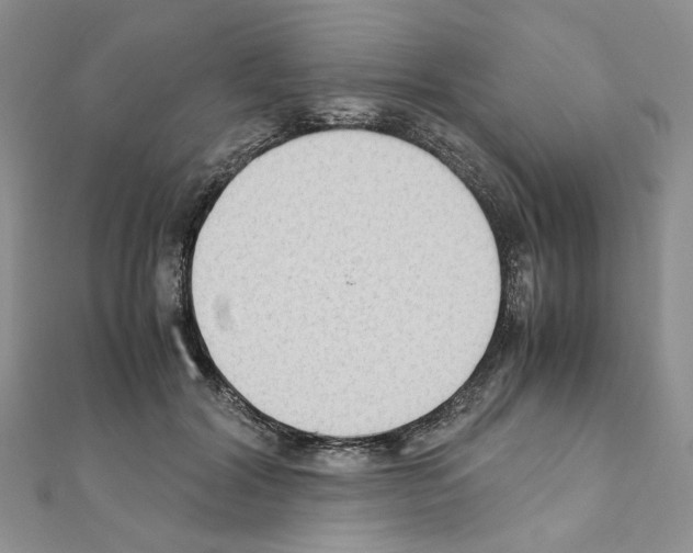 X0000110930604200907301625