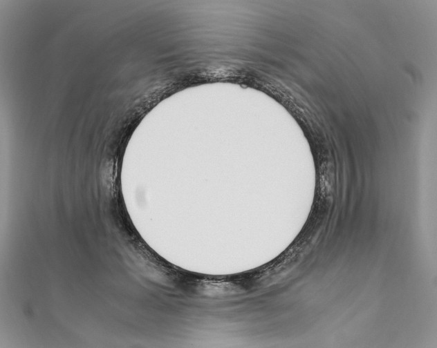 X0000110930605200907301625