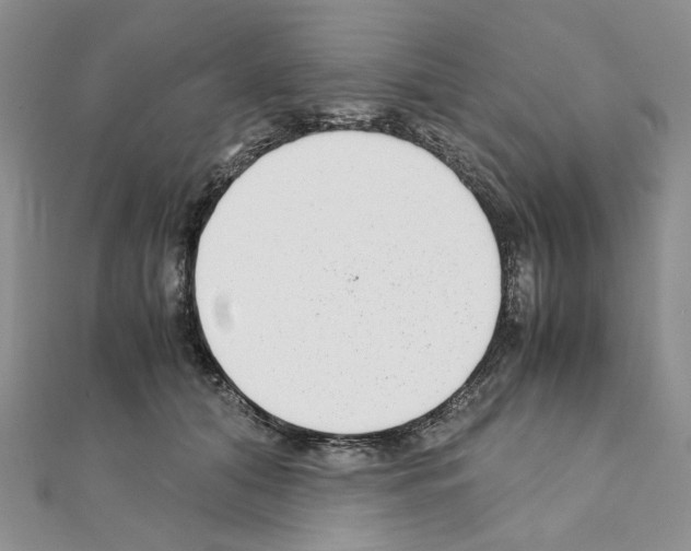 X0000110930608200907301625