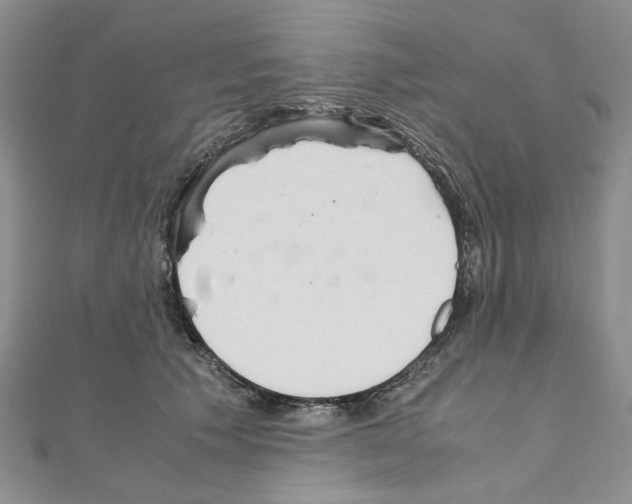 X0000110930609200907301625