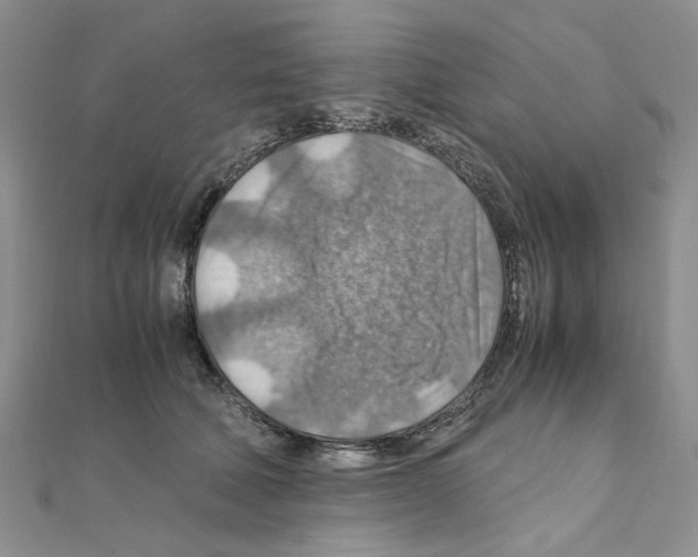 X0000110930610200907301625