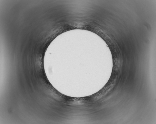 X0000110930612200907301625