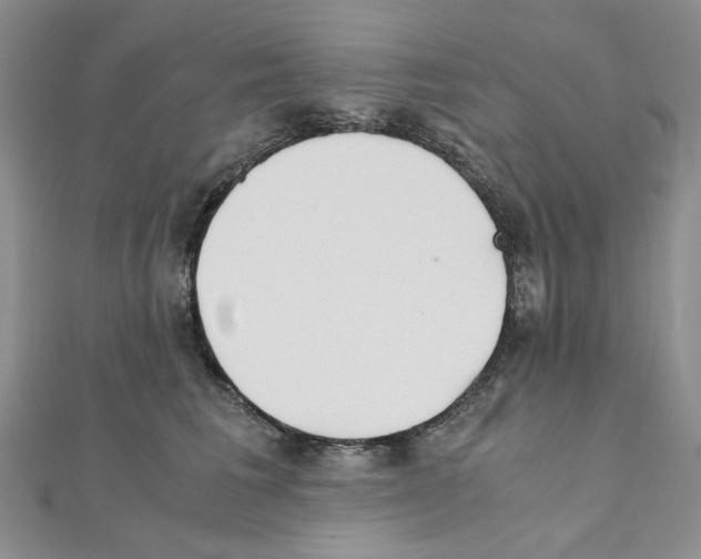 X0000110930613200907301625