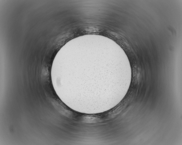 X0000110930614200907301625