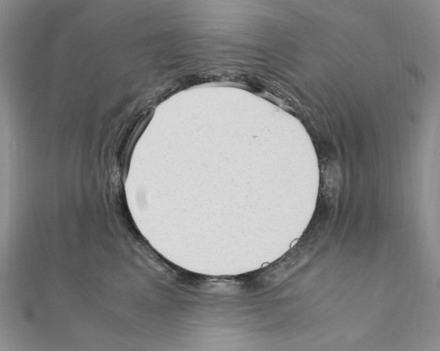 X0000110930617200907301625
