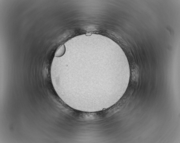 X0000110930618200907301625