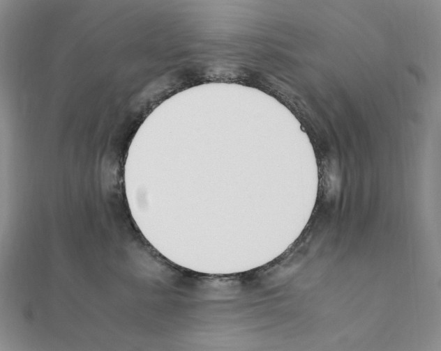 X0000110930619200907301625
