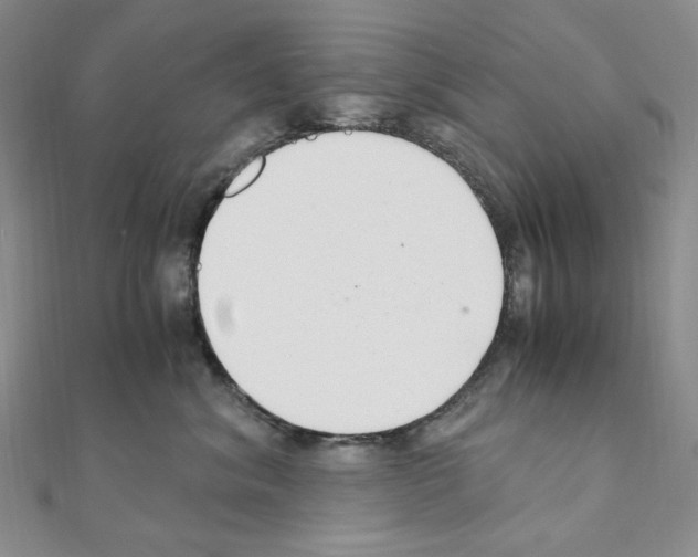 X0000110930620200907301625