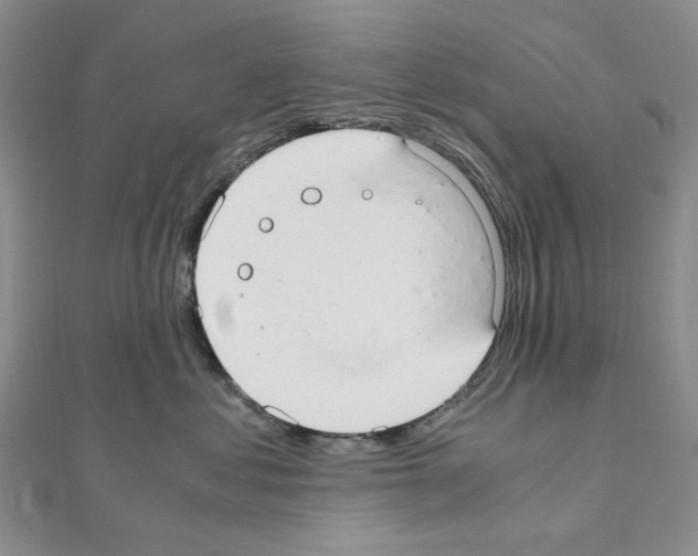 X0000110930621200907301625