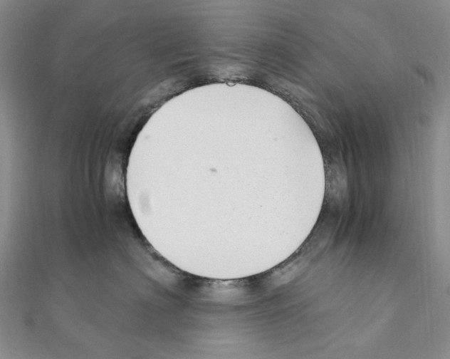 X0000110930622200907301625