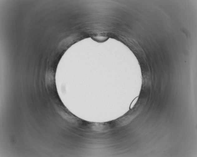 X0000110930623200907301625