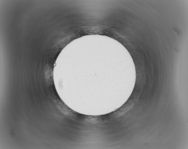 X0000110930624200907301625