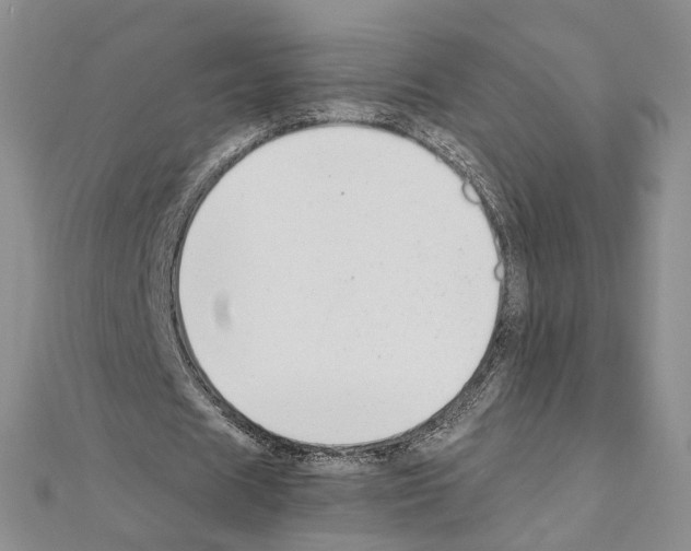 X0000110930625200907301624