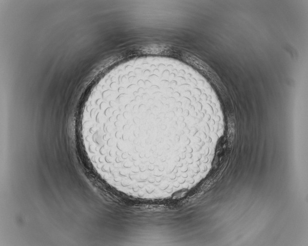 X0000110930626200907301624