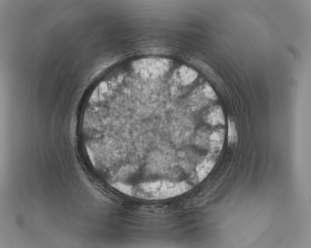 X0000110930627200907301624