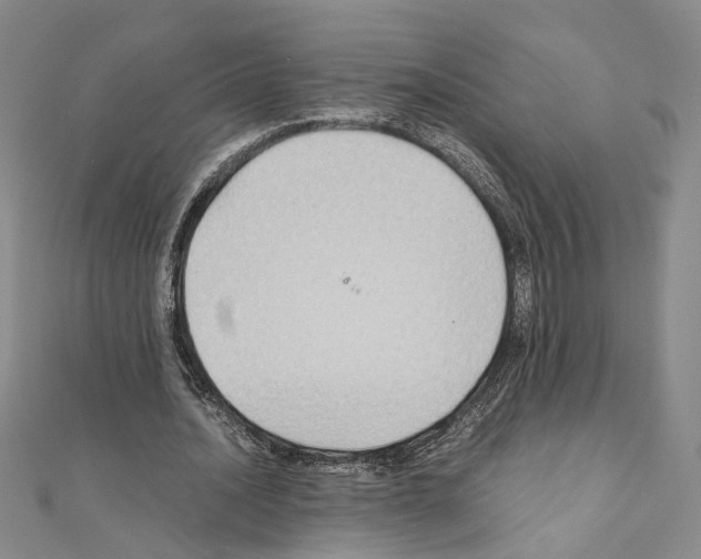 X0000110930628200907301624