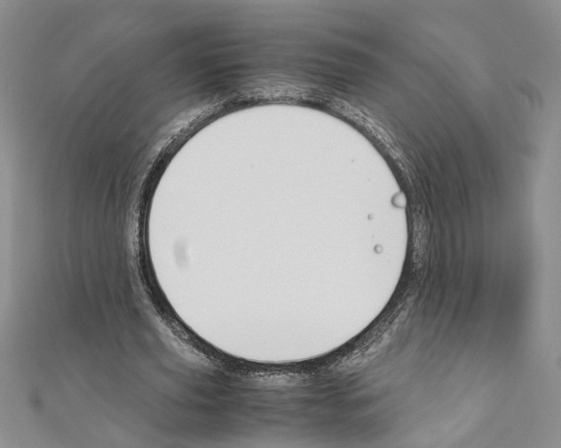 X0000110930629200907301624