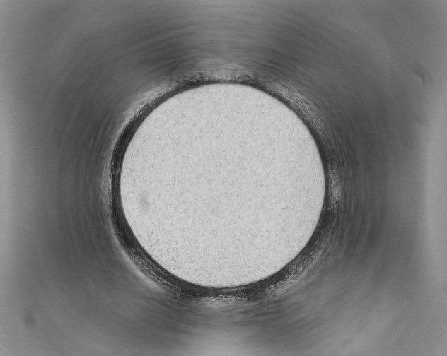 X0000110930630200907301624