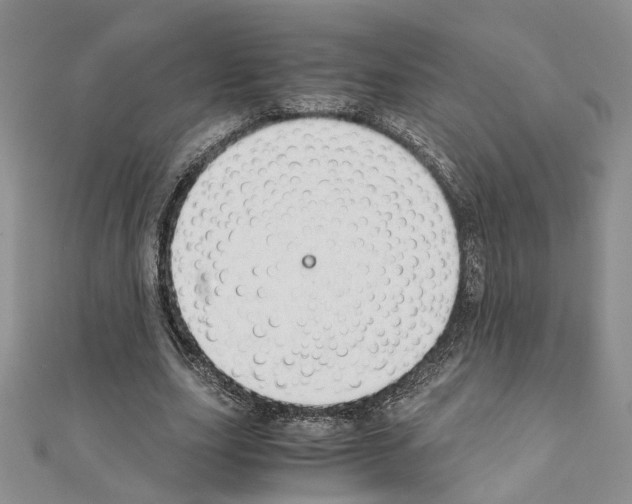 X0000110930631200907301624