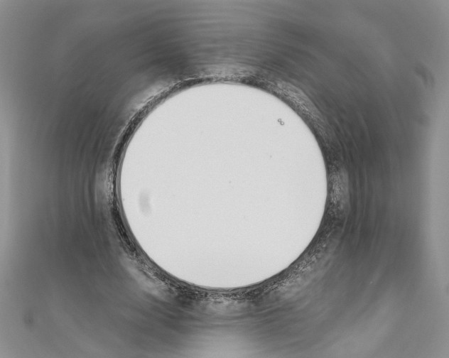 X0000110930632200907301624