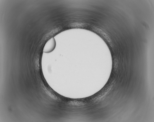 X0000110930633200907301624