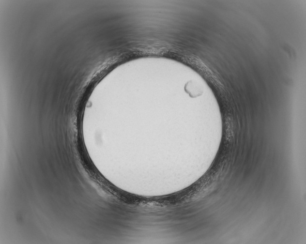 X0000110930634200907301624
