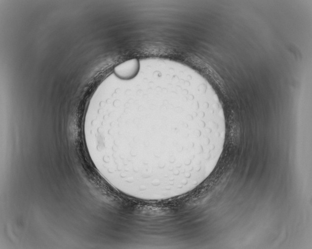 X0000110930635200907301624