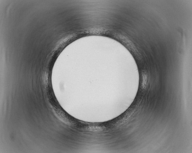 X0000110930636200907301624