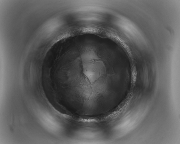 X0000110930637200907301624