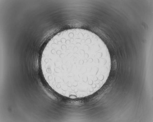 X0000110930638200907301624