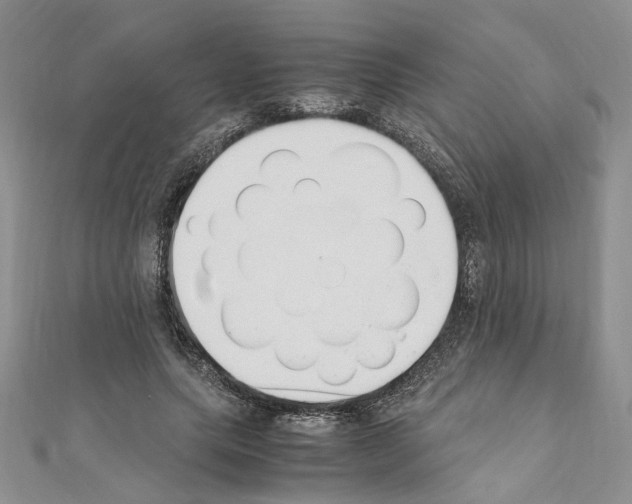 X0000110930639200907301624