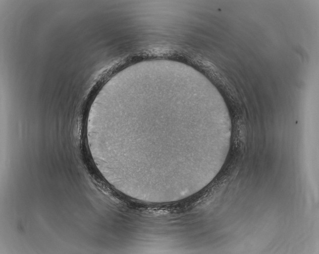 X0000110930640200907301624