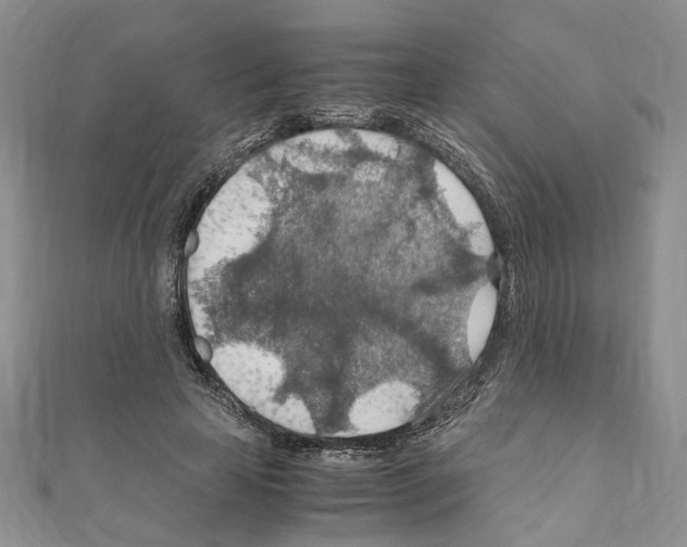 X0000110930641200907301624