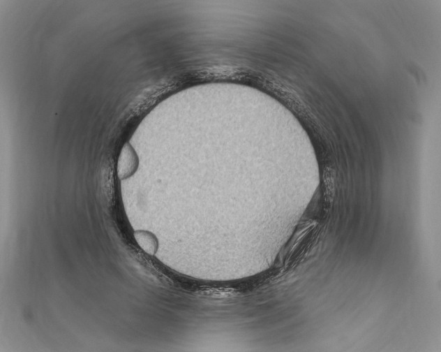 X0000110930642200907301624