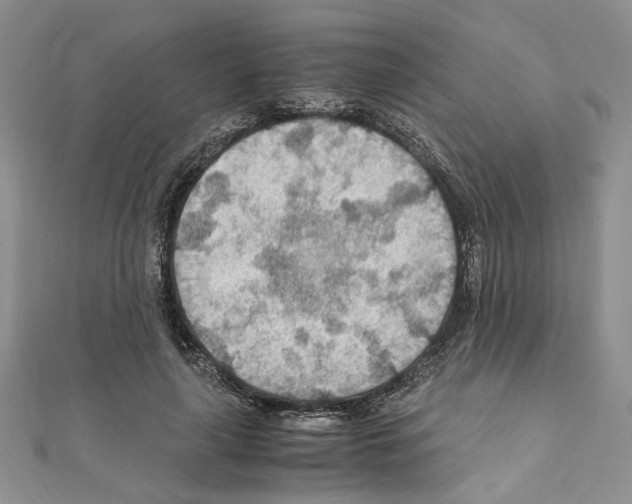 X0000110930643200907301624
