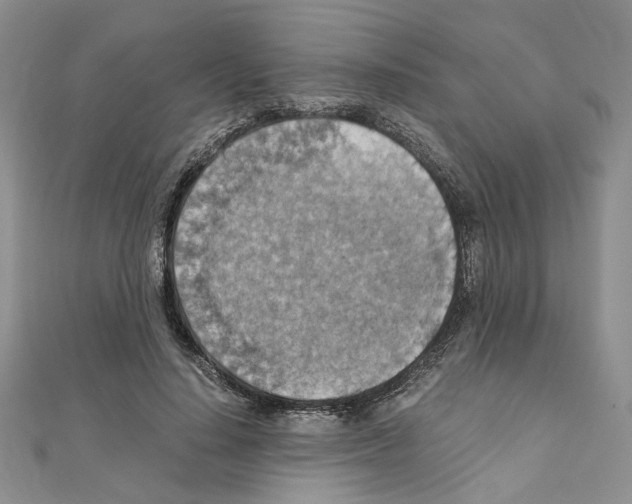 X0000110930644200907301624