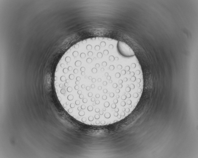 X0000110930646200907301624