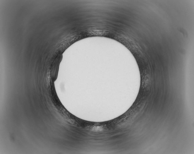 X0000110930647200907301624