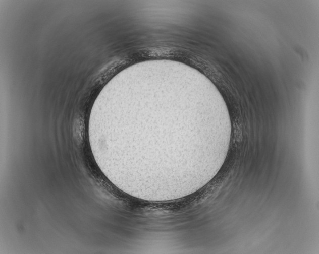 X0000110930648200907301624