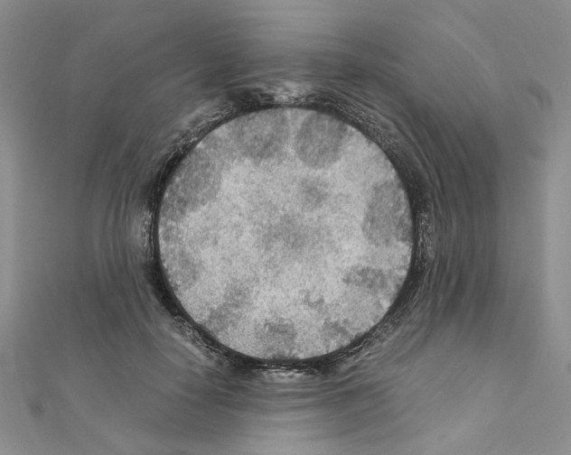 X0000110930650200907301624