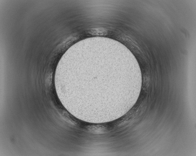 X0000110930652200907301624