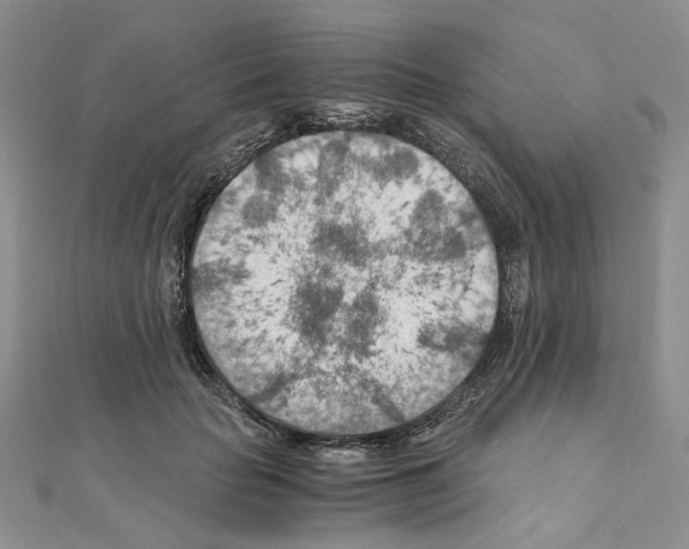 X0000110930653200907301624