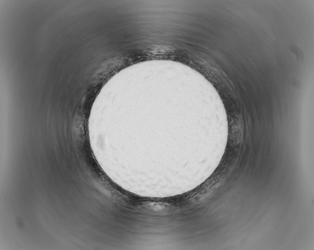 X0000110930654200907301625